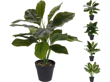 צמח בית ירוק בעציץ 45 ס"מ - 317002640