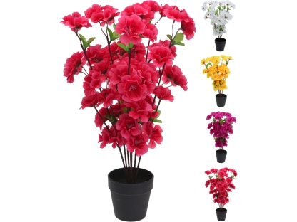 פרחוניים גדולים 4 צבעים - 317002670