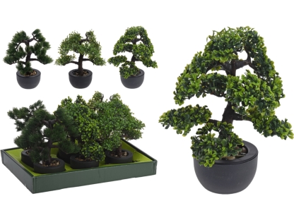 בונסאי בעציץ 31 ס"מ - 317002760