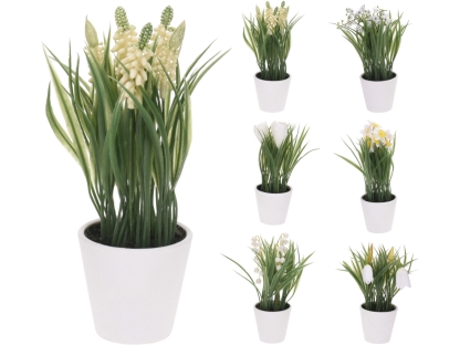 עשבוני בעציץ לבן קטן 21 ס"מ גובה - 317005100