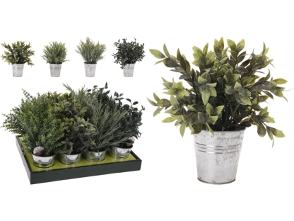 צמח ירוק בעציץ 23X28 ס"מ - 317220030