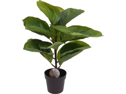 צמח ירוק בעציץ 30X38 ס"מ - 317220050