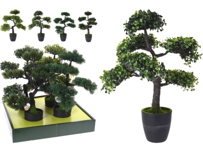 בונסאי בעציץ 50 ס"מ - 317220120