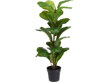 צמחיה מלאכותית פיקוס כינורי