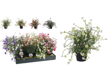 שיח פורח בעציץ פלסטי - 317353880