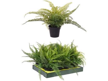 שיח ירוק בעציץ פלסטי - 317353890