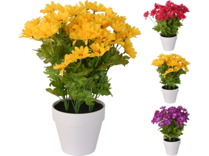 שיח פרחוני בעציץ לבן - 317353940