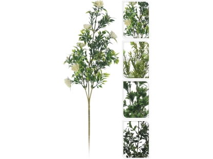 ענף עץ בודד ירוק - 317353960