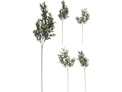 ענף 66 ס"מ - 317354070