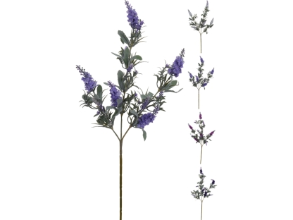 ענף עץ בודד סגול - 317354080