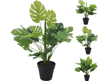 פילדנדרון 45 ס"מ -3 סוגים - 317888010