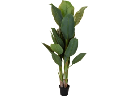 עץ עלים גדולים 165 ס"מ - 318000690