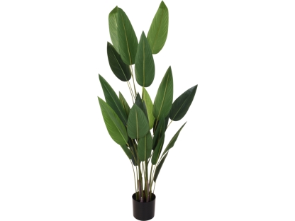 צפ"ג ניקולאי 175 ס"מ - 318000760