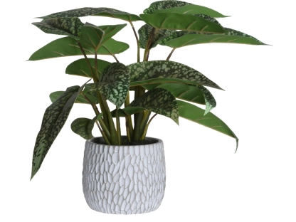 צמחיה מלאכותית סינגוניום בעציץ 15