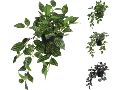 צמחיה מלאכותית זברינה נשפכת