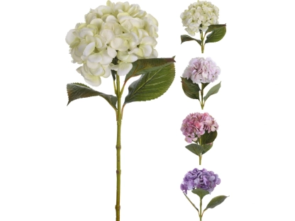 צמחיה מלאכותית ענף הורטנזיה