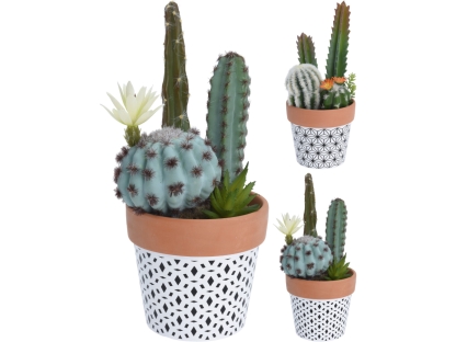 מיקס קקטוסים בעציץ גלזורה מנוקד - 319000110