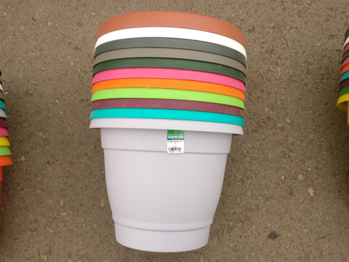 עציץ כרמל 33