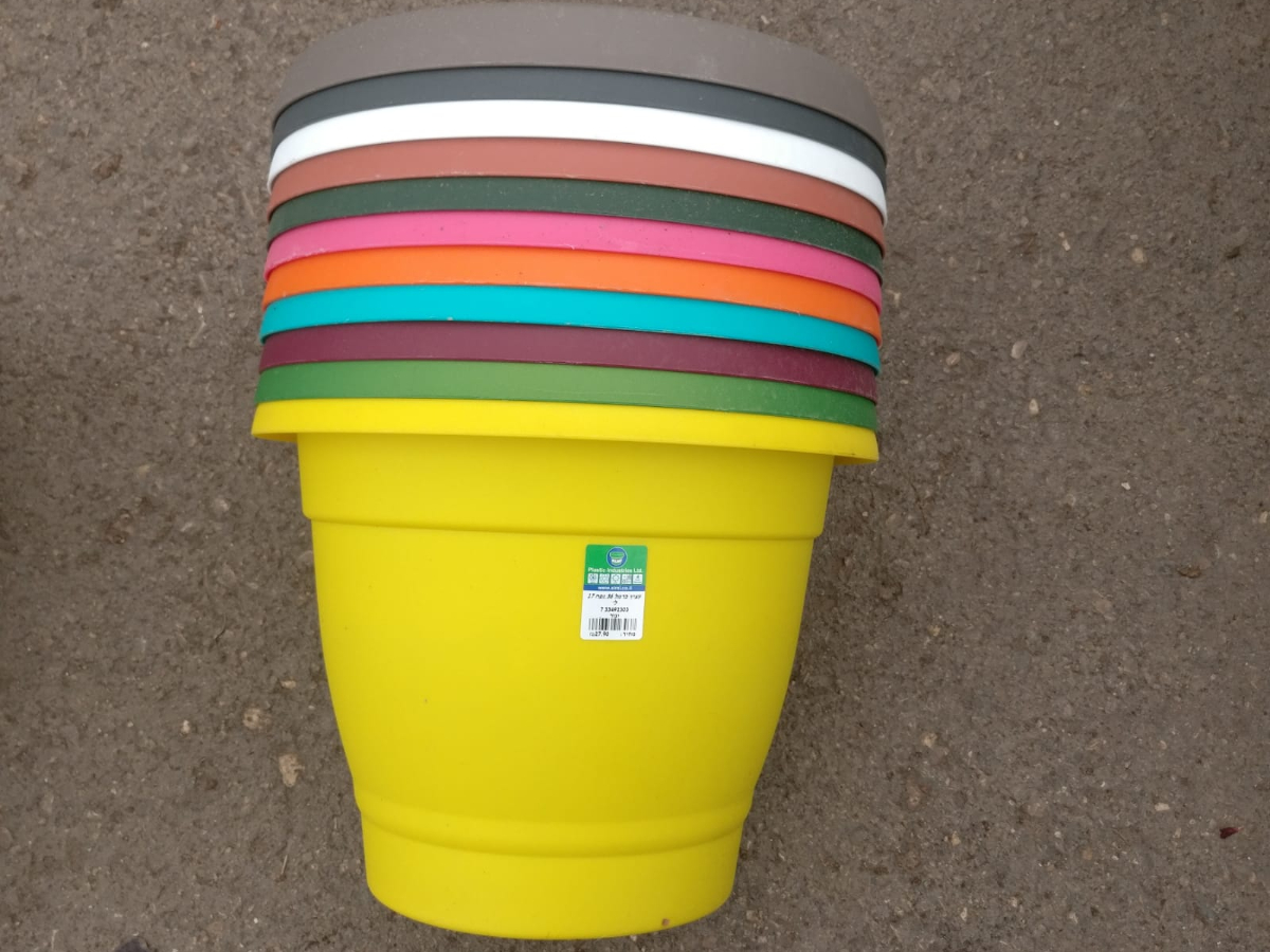 עציץ כרמל 36