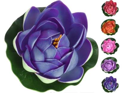 שושנת מים 10 ס"מ - 836660000