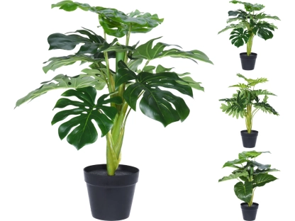 צמחיה מלאכותית פילודנדרון