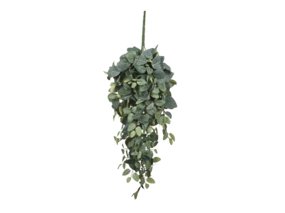 צ.מ- פילאה נשפך