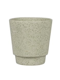 עציץ אודינזה מחוספס ירוק - 13.5 ס"מ - 956910