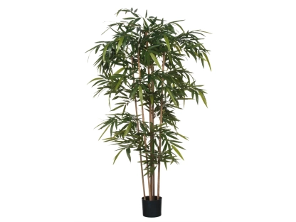 צ.מ- במבוק 180X75 ס"מ