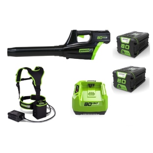 מפוח עלים חשמלי 80V pro