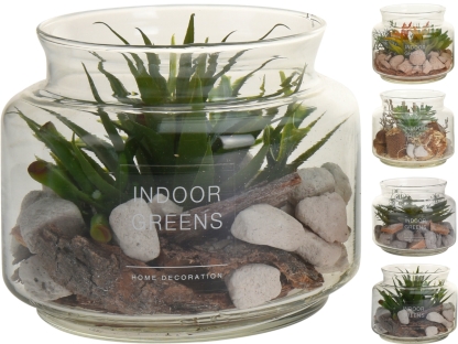 טרריום עם סוקולנט - D22300080