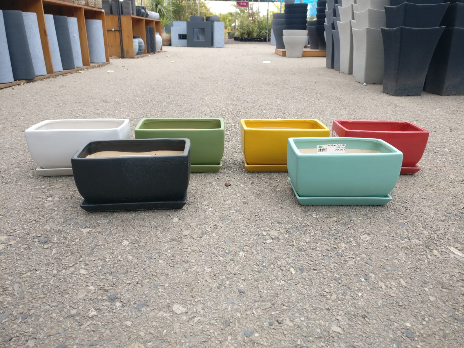 אדנית גלזורה 4831