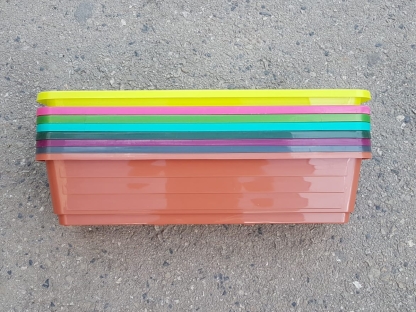 אדנית עצמון 60