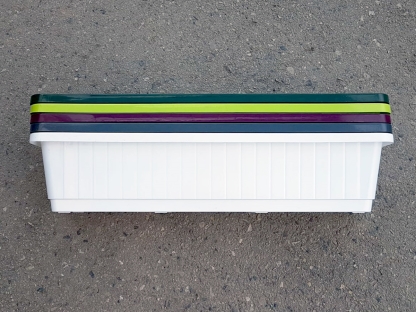 אדנית 80 רימון