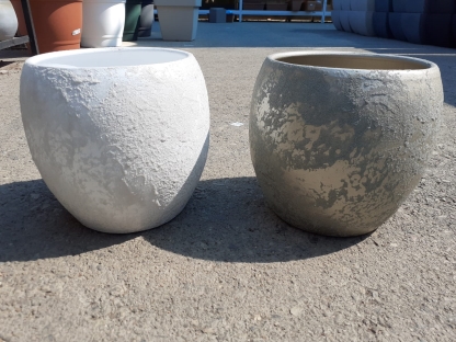 עציץ אלביס כוס תה לו שמפניה 16 ס"מ