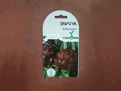 זרעי ארטישוק