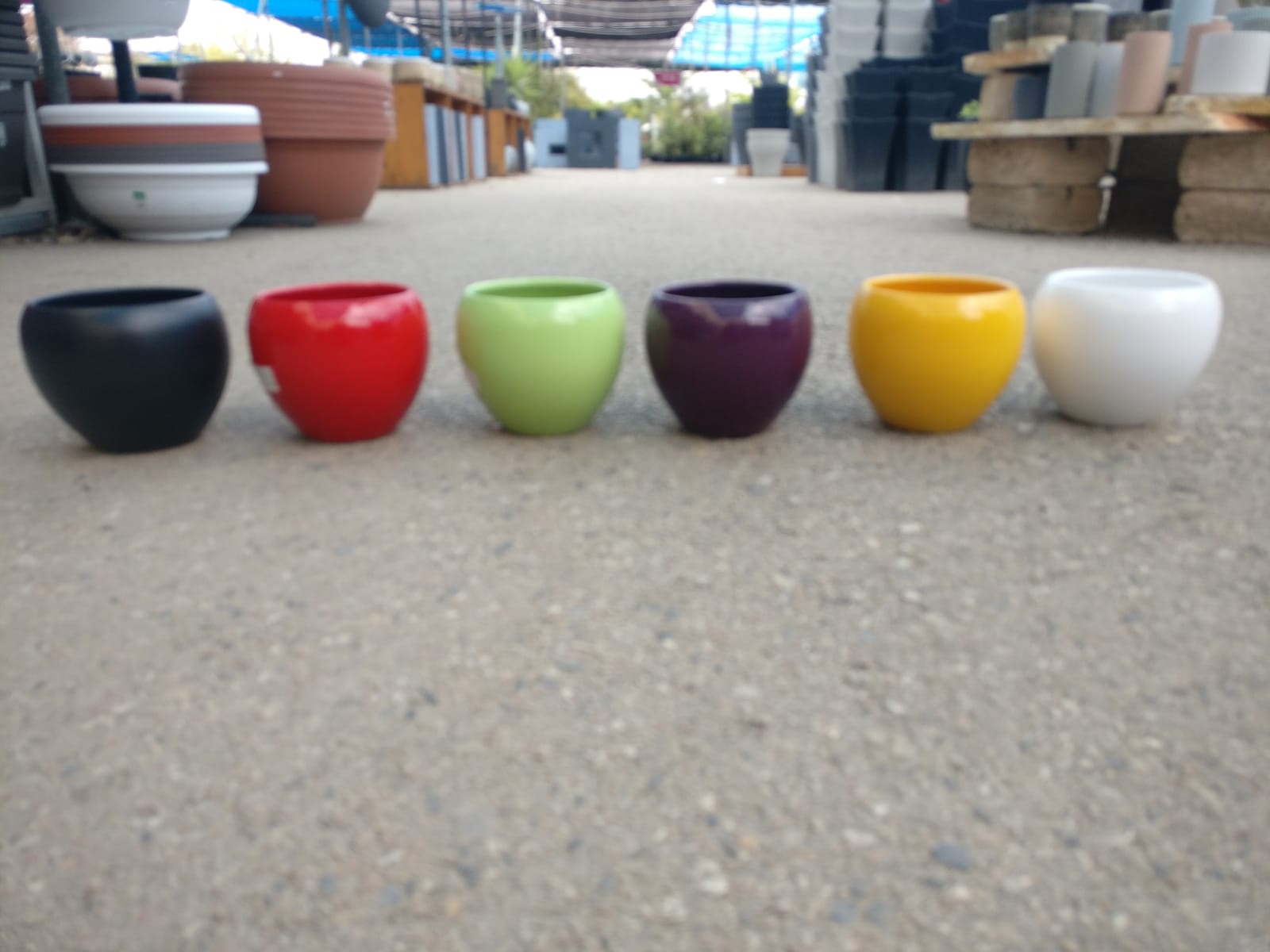 כד גלזורה 048