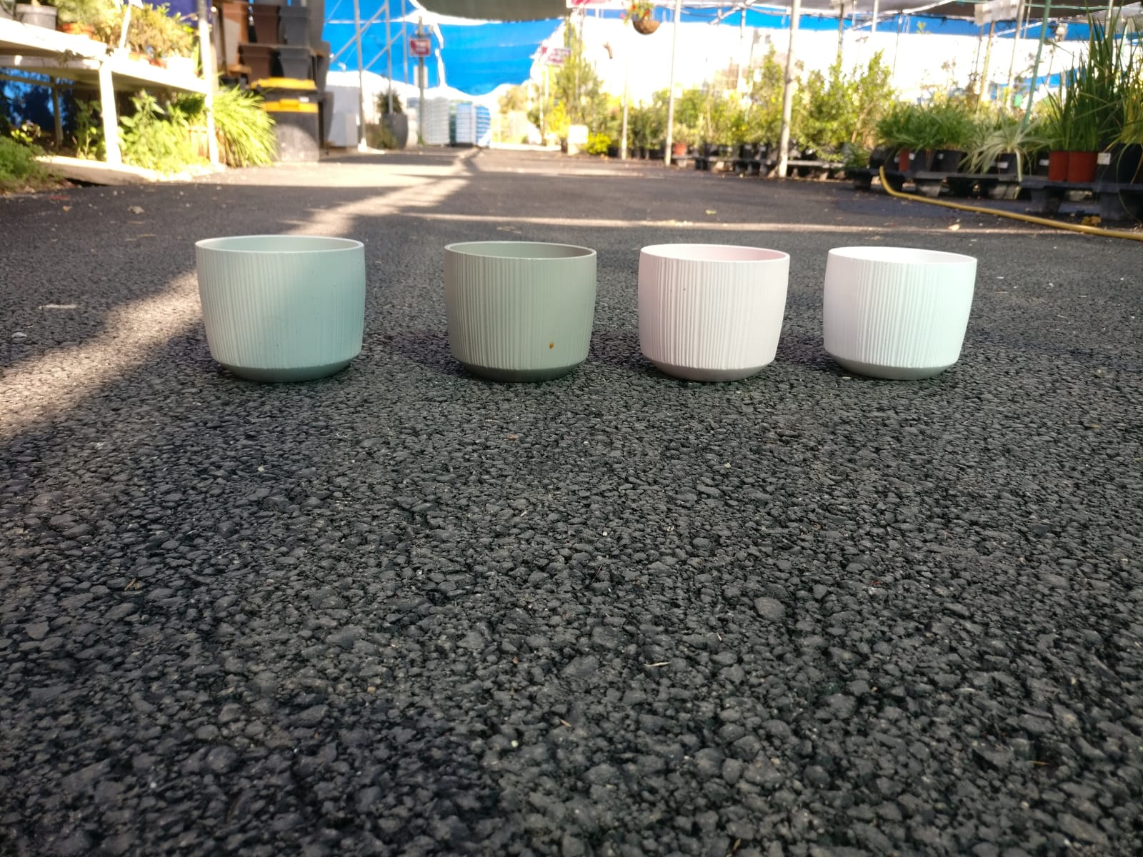 עציץ סטונוור צבעוני נמוך 15 ס"מ - ורוד