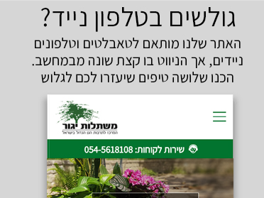 גלישה בטלפון נייד