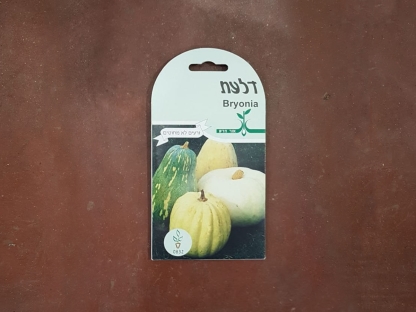 זרעי דלעת