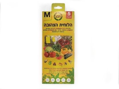 הלוחית הצהובה M GP