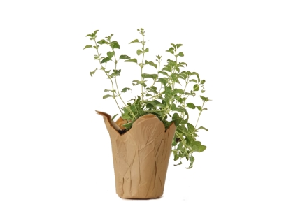 זעתר נייר חום