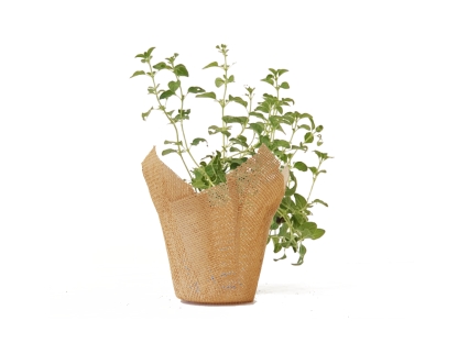 זעתר נייר יוטה