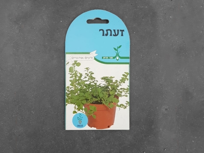 זרעי זעתר