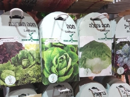 זרעים לגינה