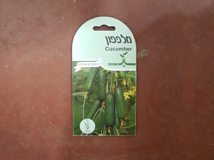 זרעי מלפפון