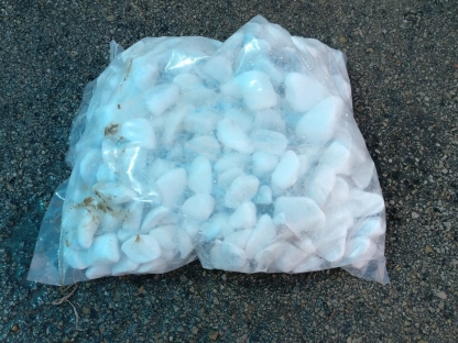 חלוקי נחל לבן שלג- 18 ק"ג