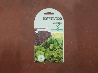 זרעי חסה תערובת