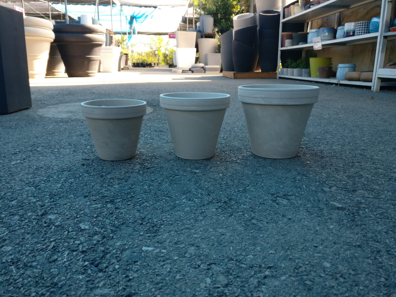 עציץ טרקוטה לבן 16 ס"מ