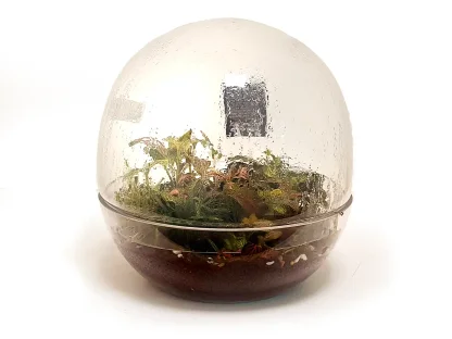 טרריום ענק כדור