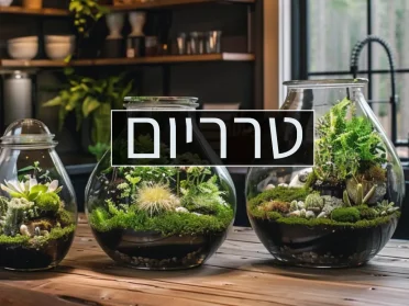 טרריום כתבה